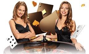 bizzo casino